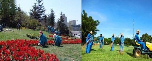 园林工人工作环境写照 园林工人写照